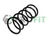 PROFIT 2010-0905 Coil Spring